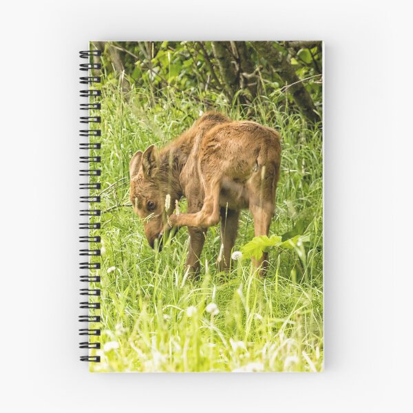 Item preview, Itchy Nose or Smelly Feet? designed and sold by Belinda Greb Photography.