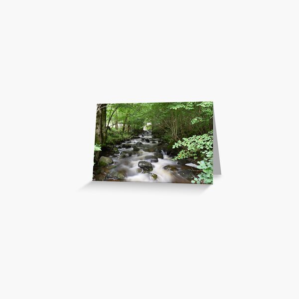 Item preview, Ravenna river designed and sold by jotagphoto.