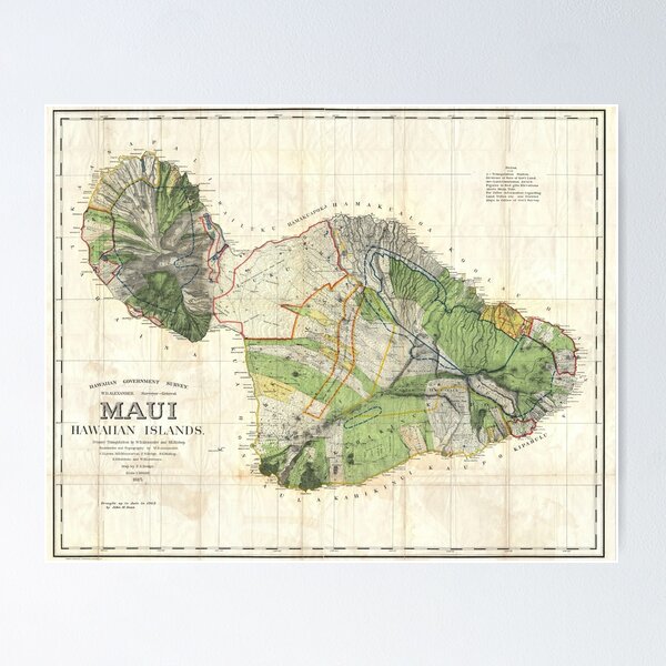 Item preview, 1885 De Witt Alexander Wall Map of Maui, Hawaii designed and sold by Cat Lady Designs.