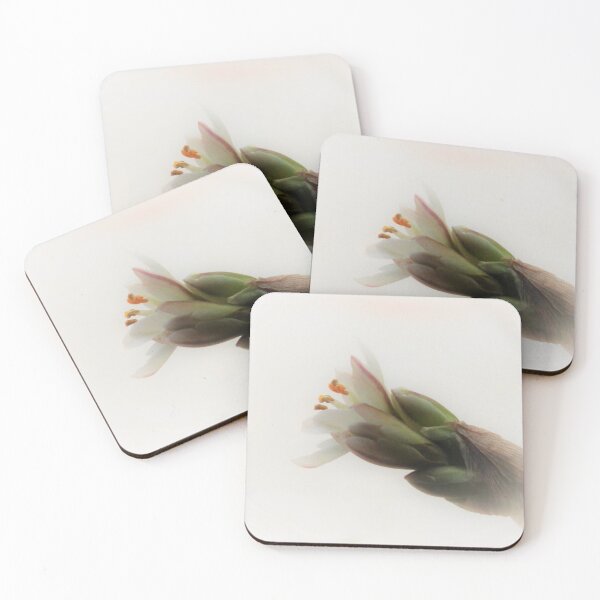 Item preview, NS White Flower A1© designed and sold by OmarHernandez.