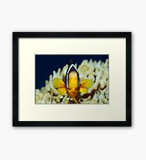 Unique Framed Print
