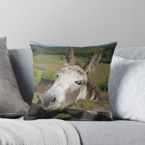 Item preview, I Love Carrots! designed and sold by sandysshoots.
