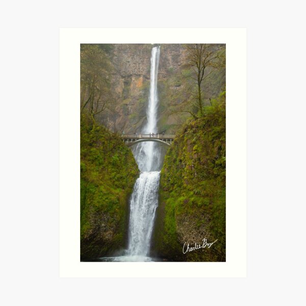 Multnomah Falls - Oregon Art Print