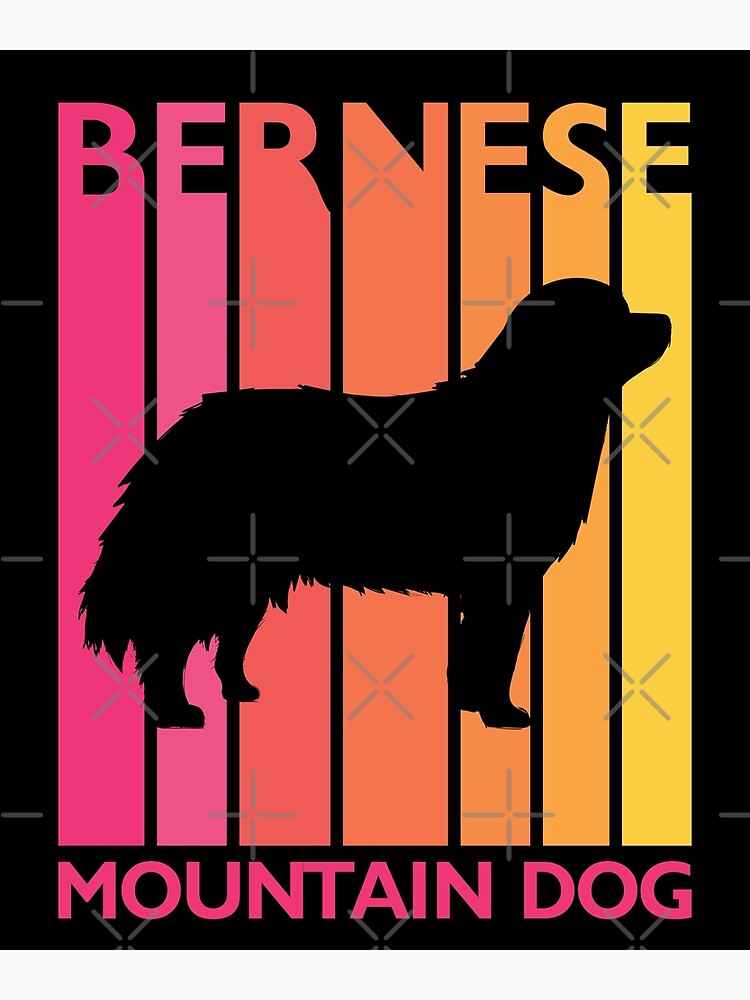 Disover Bernese Mountain Dog Shirt Vintage Dog Tee Dog Lover Gift Canvas