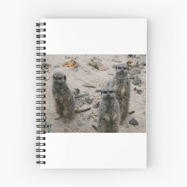 Item preview, Scouse Meerkats designed and sold by LPYLPhotography.