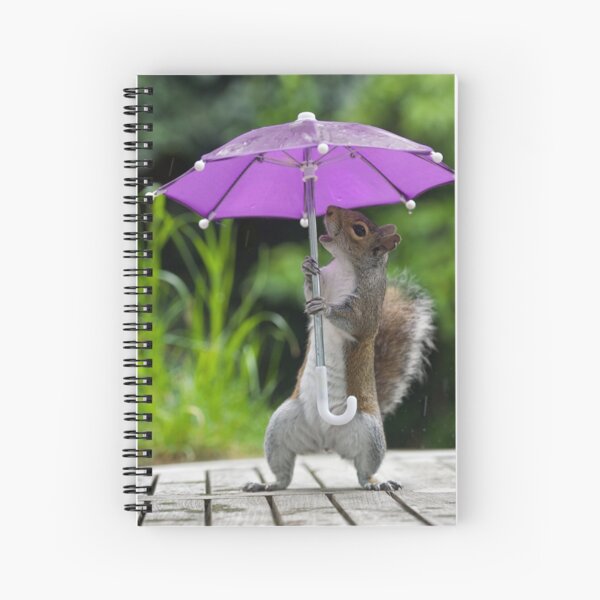 Item preview, Squirrelisimo singing in the rain designed and sold by Junkyardmax.
