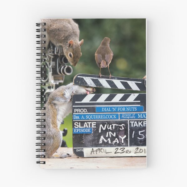 Item preview, Squirrels go Nuts in may designed and sold by Junkyardmax.