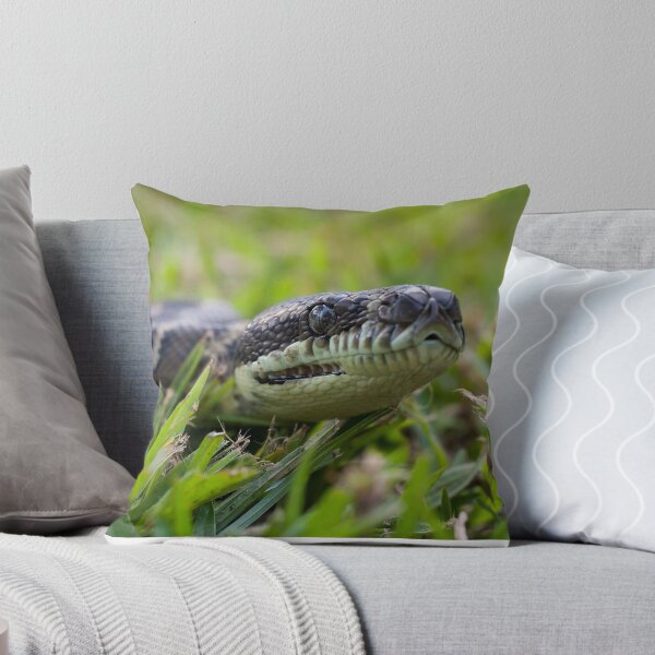 Aperçu de l'œuvre Coastal Carpt Python créée et vendue par Connie Pinson.