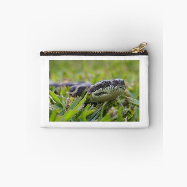 Item preview, Coastal Carpt Python  designed and sold by Connie Pinson.