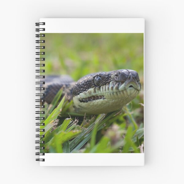 Item preview, Coastal Carpt Python  designed and sold by Connie Pinson.