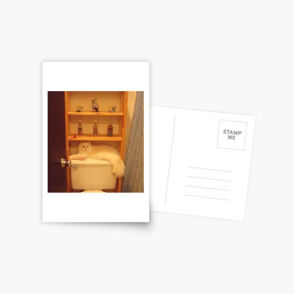 "My New Spot" Postcard