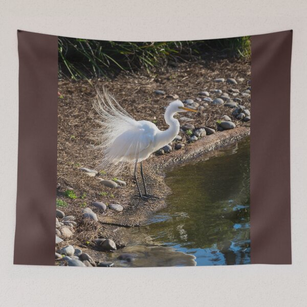 Item preview, Egret Courtship Display designed and sold by mljdwhite.