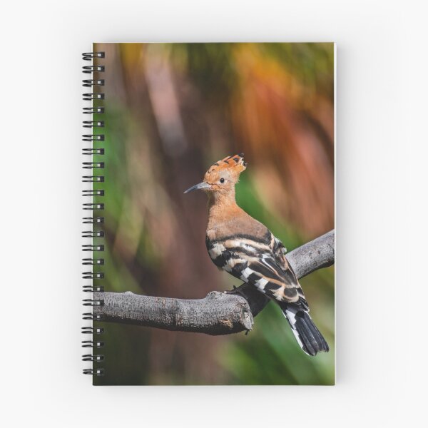 Item preview, Eurasian Hoopoe (Upupa epops) designed and sold by Martin Leber.