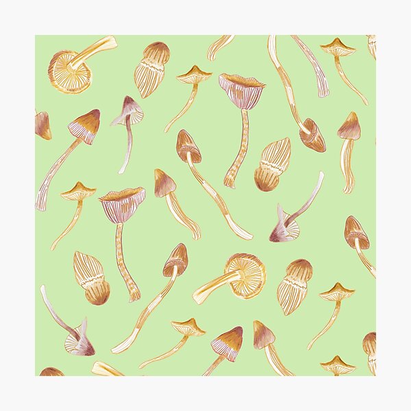 Item preview, Brown fungi in spring green designed and sold by CLillustrations.