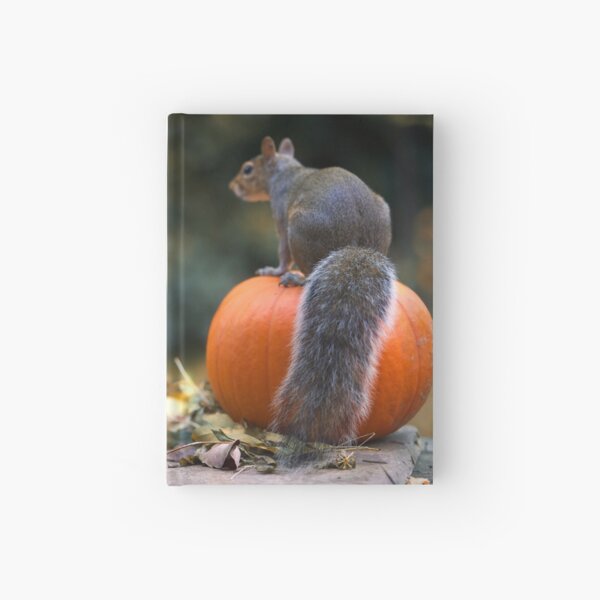 Squirrel with a pumpkin on his head Hardcover Journal