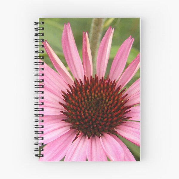 Item preview, Cone Flower Beauty designed and sold by coribeth.