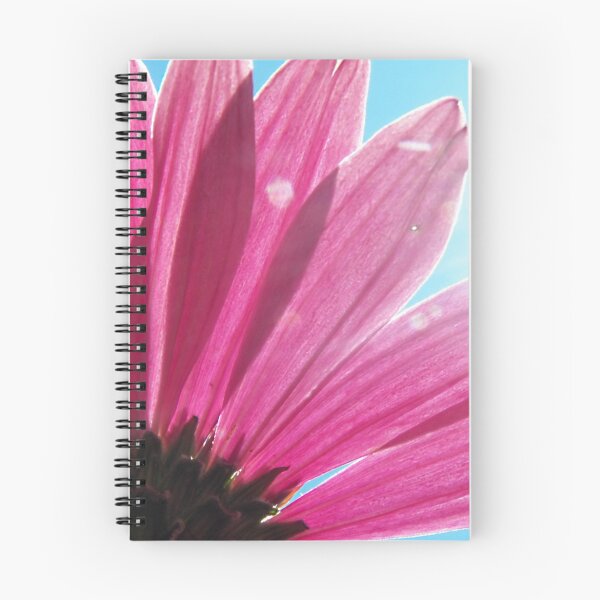 Item preview, Sunlight and Cone Flower designed and sold by coribeth.
