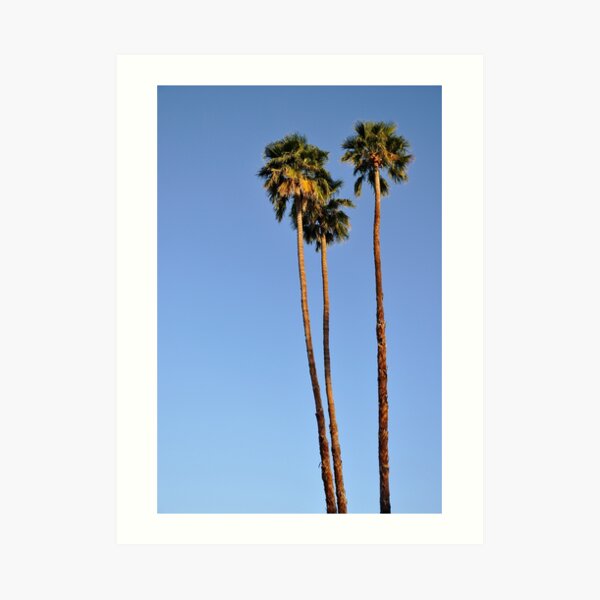 Three is a Crowd Art Print