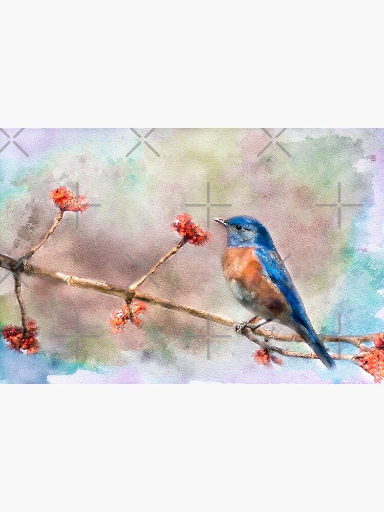 Blue Bird Watercolor by Gypsykiss