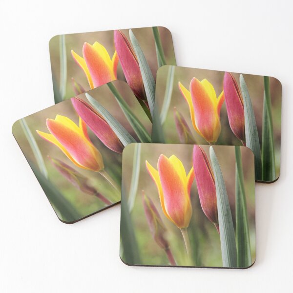 Item preview, Tender esbelta sorpresa | Tulipanes designed and sold by WesternExposure.