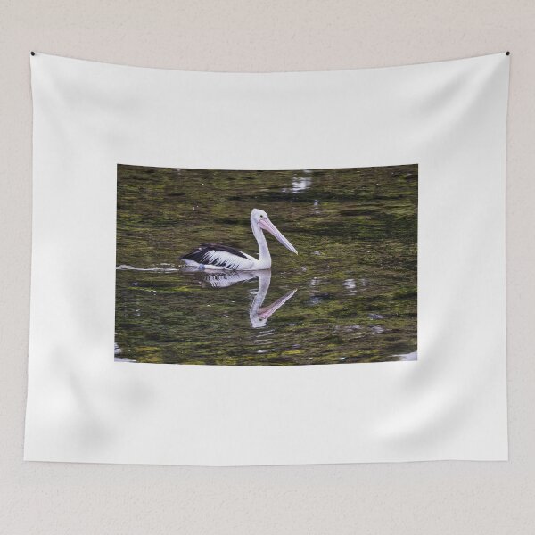 Item preview, Pelican - Narooma - Australia designed and sold by StevenRalserPhoto.