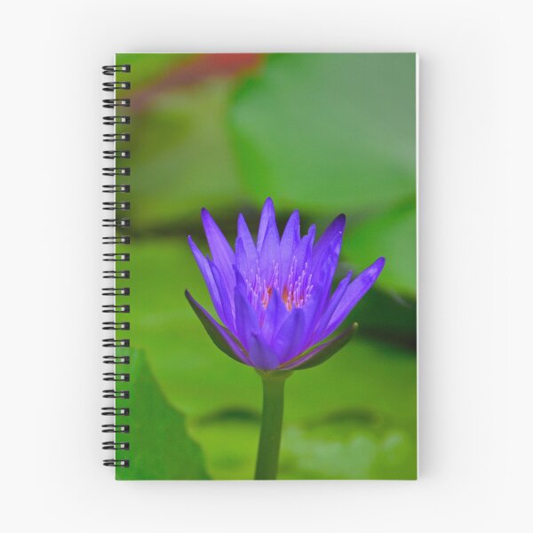 Item preview, Blue Water Lily designed and sold by jojobob.