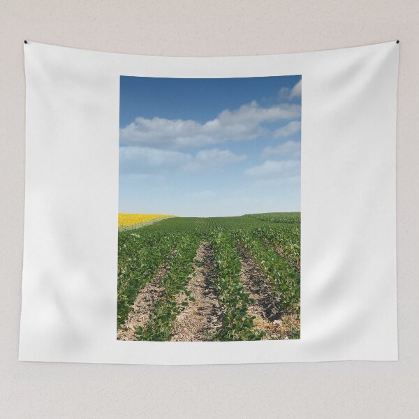 Item preview, soybean field in summer agriculture designed and sold by goceris.