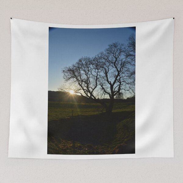 Item preview, sun flare designed and sold by bradleyduncan.