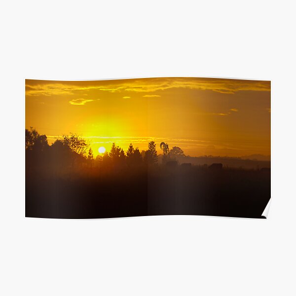 Orange Hues Poster