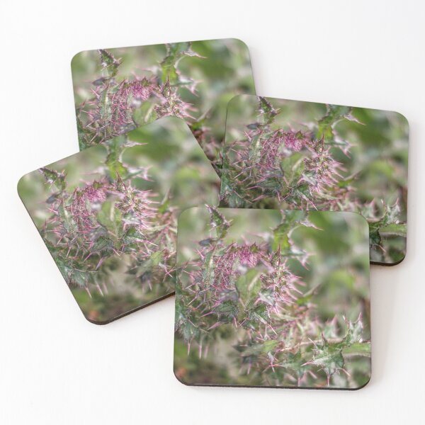 Item preview, Thistle Spike Plant designed and sold by MixinMadness.