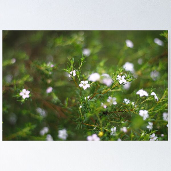 Item preview, Little Flowers designed and sold by MaluMoraza.