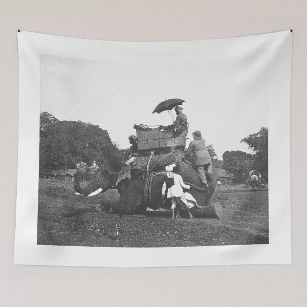 Item preview, Elephant Rides India Howdah Victorian Tourist Photograph designed and sold by skyfilming.