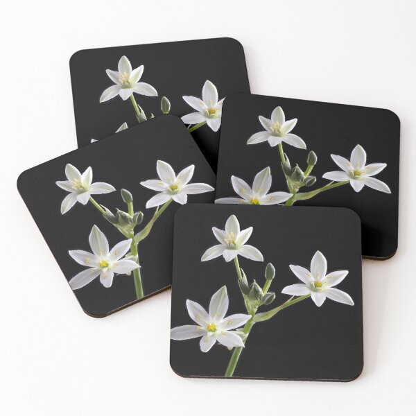 Item preview, Star of Bethlehem (Ornithogalum umbellatum) designed and sold by Creative by Design.
