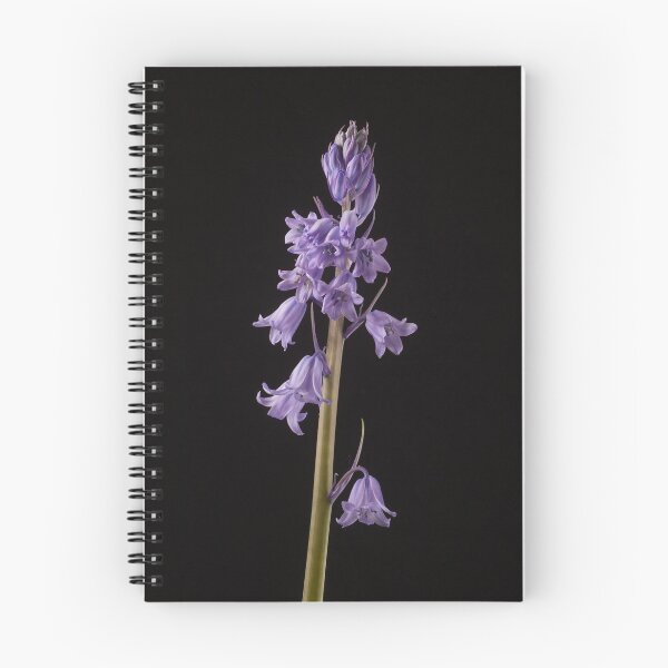 Item preview, Spanish Bluebell (Hyacinthoides hispanica) designed and sold by Creative by Design.