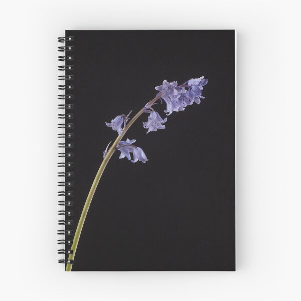 Item preview, Spanish Bluebell (Hyacinthoides hispanica) designed and sold by Creative by Design.