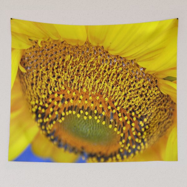 Item preview, Core of the Sun designed and sold by John Schneider.