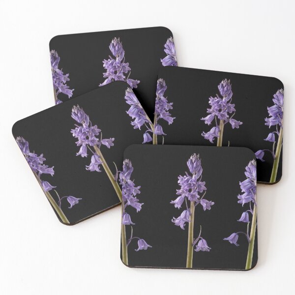 Item preview, Bluebell Trio designed and sold by Creative by Design.