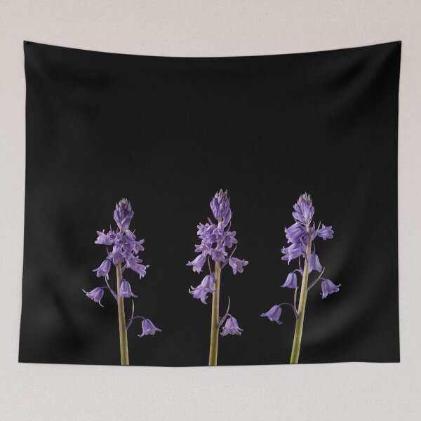 Item preview, Bluebell Trio designed and sold by Creative by Design.