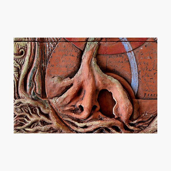 Sense Door - Root (detail of Lotus VII) Photographic Print