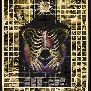 Artwork thumbnail, Target Tonglen of Transformation by mona shiber