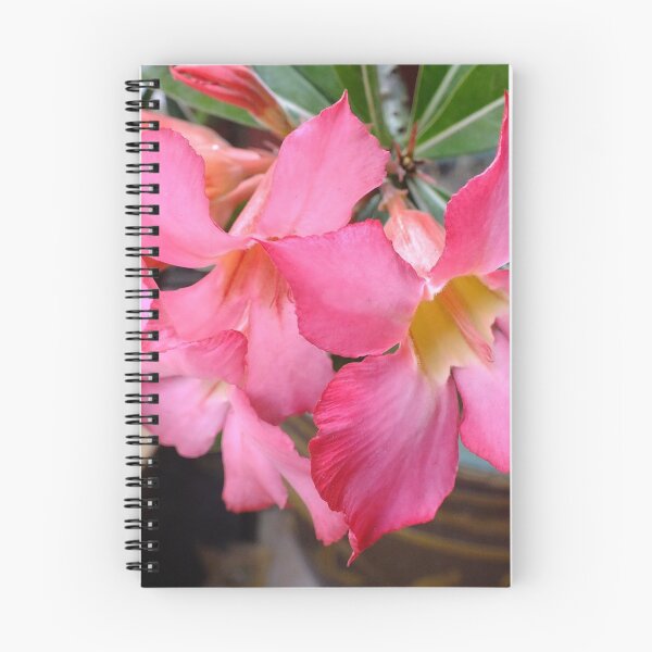 Item preview, Dressed in pink  designed and sold by sandysartstudio.