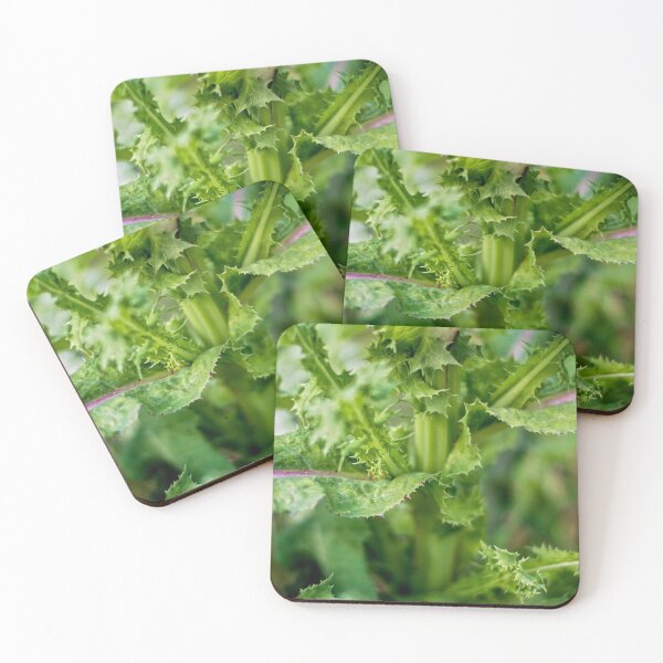 Item preview, Spiked leaf plant designed and sold by MixinMadness.