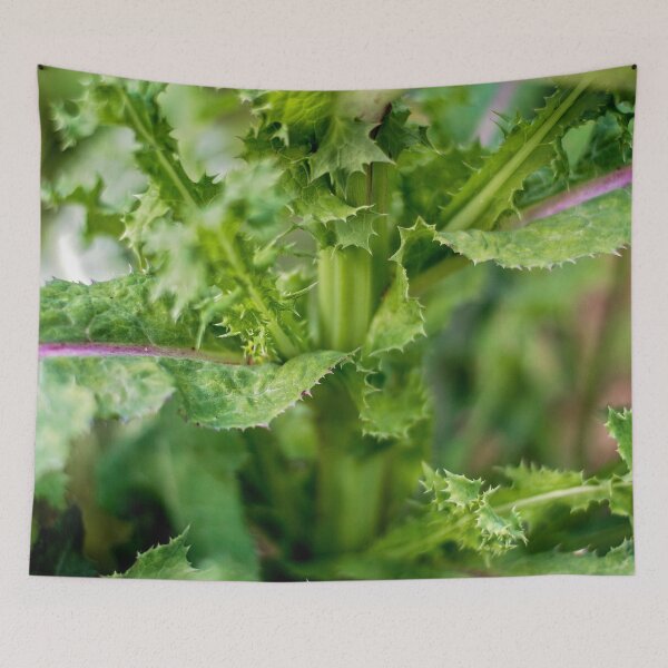 Item preview, Spiked leaf plant designed and sold by MixinMadness.