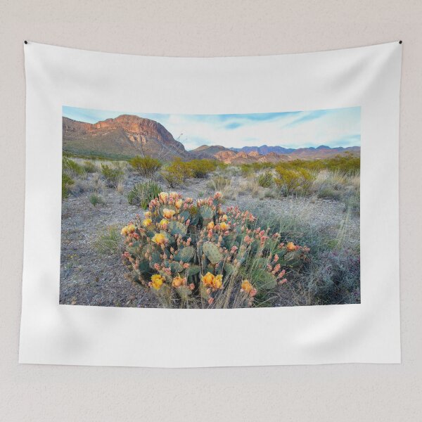 Item preview, Big Bend Cactus Flowers in Bloom  designed and sold by Trey Kincade.