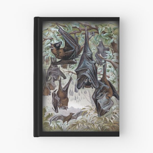 Item preview, Indian Flying-fox painting  designed and sold by marmur.