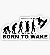 Evolution Wakeboard Sticker