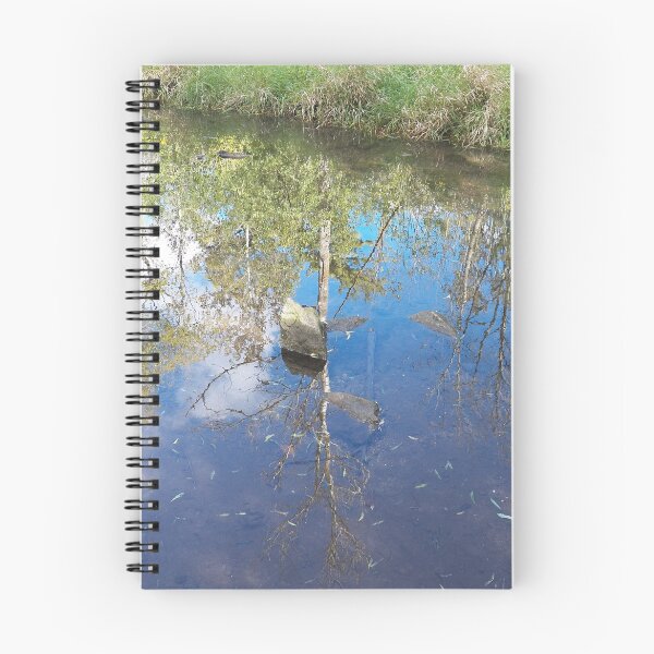Item preview, Reflections designed and sold by coribeth.