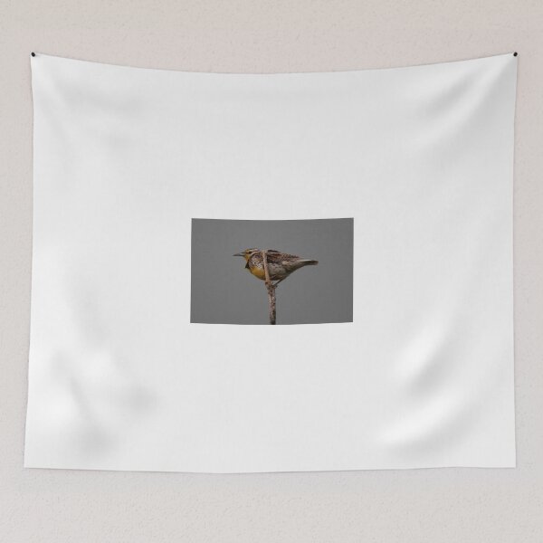 Item preview, Western Meadowlark designed and sold by Larry Trupp.