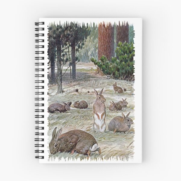 Item preview, Painting of european rabbits designed and sold by marmur.