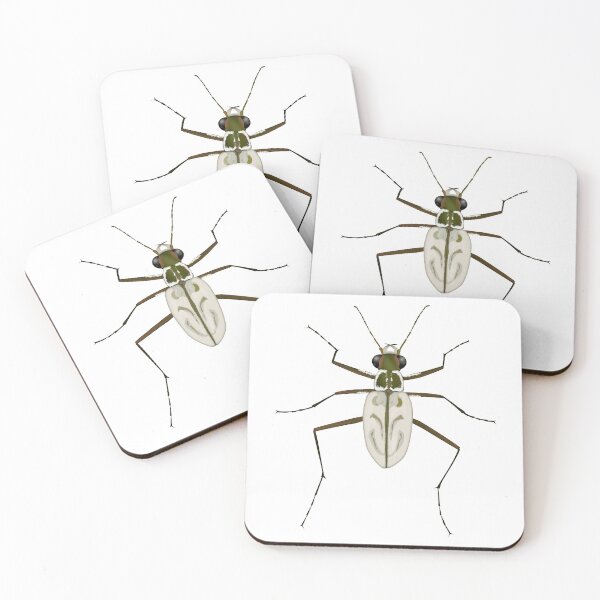 Item preview, Northeastern Beach tiger beetle, Habroscelimorpha dorsalis designed and sold by thevexedmuddler.